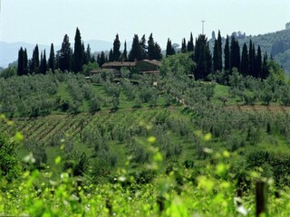 Maison de vacances San Donato in Poggio Environnement 31