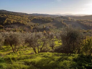 Ferienhaus San Donato in Poggio Umgebung 32