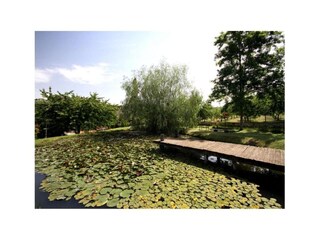 Vakantiehuis San Donato in Poggio Omgeving 33