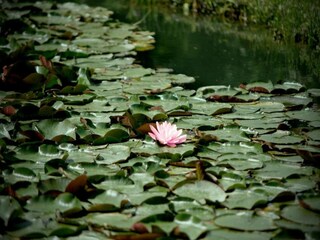 Maison de vacances San Donato in Poggio Environnement 37