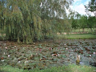 Appartamento San Donato in Poggio Ambiente 40