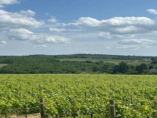 Casa de vacaciones San Donato in Poggio Entorno 39