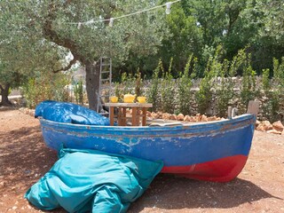 Casa de vacaciones Cisternino Grabación al aire libre 12