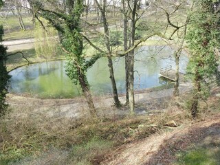 Ausblick