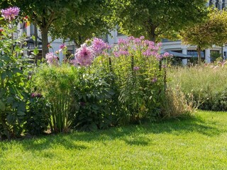 Promenade Seebad Ahlbeck