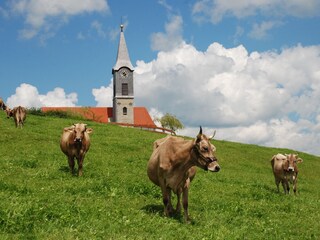 Appartamento per vacanze Immenstadt Ambiente 22