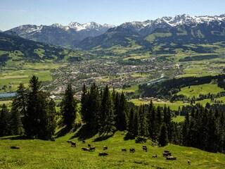 Appartamento per vacanze Immenstadt Ambiente 24