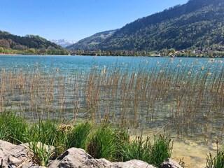 Appartement de vacances Immenstadt Environnement 24