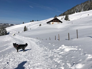 Appartamento per vacanze Immenstadt Ambiente 23