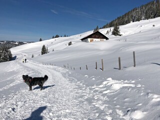 Appartement de vacances Immenstadt Environnement 25