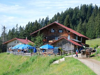 Appartamento per vacanze Immenstadt Ambiente 24