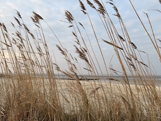 Strand von Hooksiel