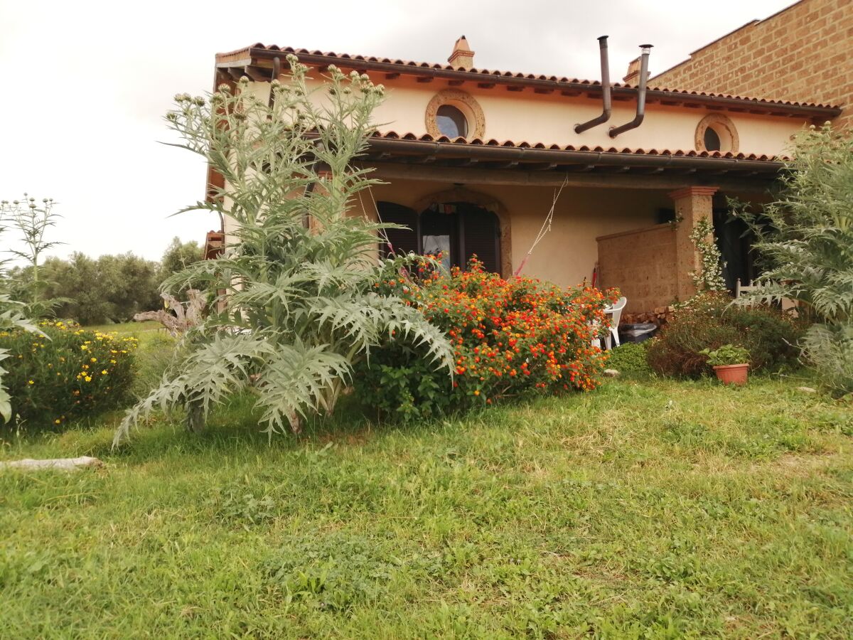 The garden and terrace with lot of open space to walk a