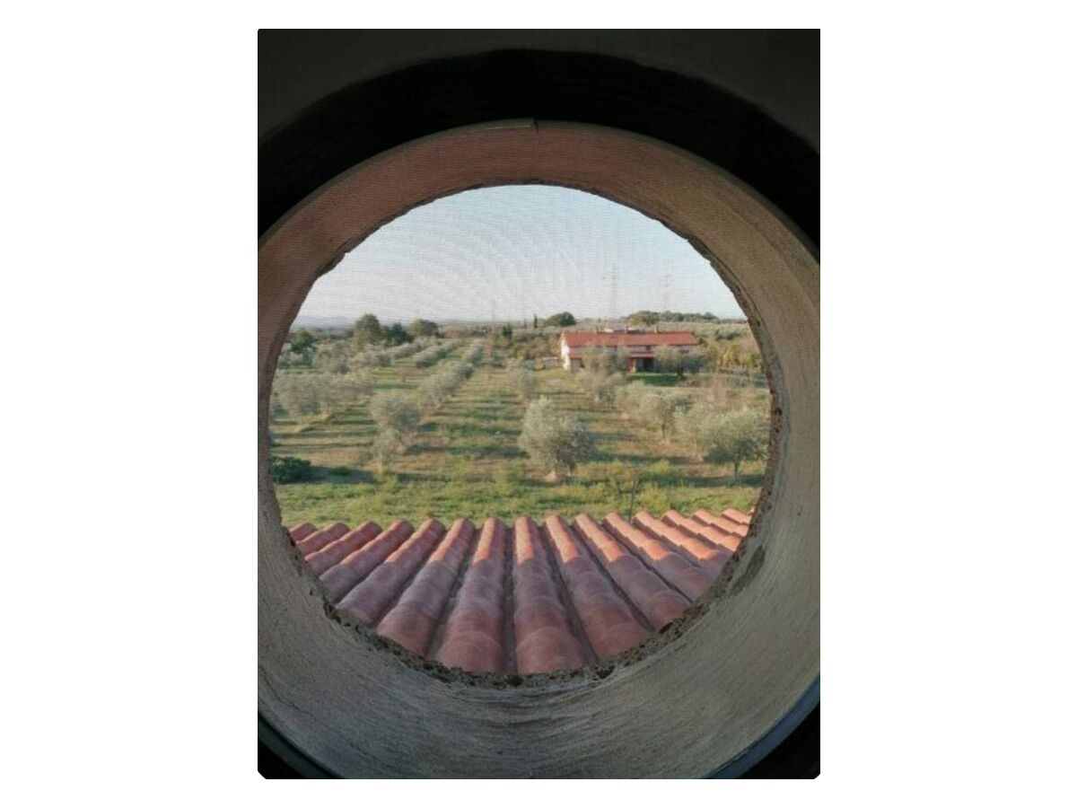 View of the olivetto from the room