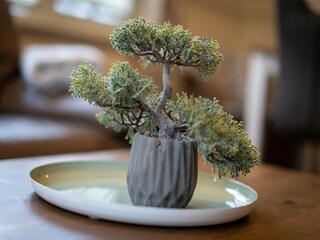 Appartamento St. Peter-Ording  33