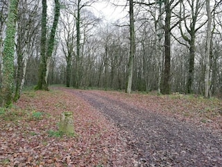Vakantiehuis Saint-Franchy Omgeving 30