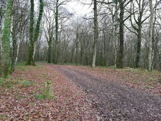 Vakantiehuis Saint-Franchy Omgeving 32