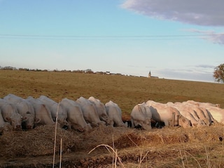 Ferienhaus Saint-Franchy  36