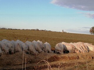 Holiday house Saint-Franchy  36