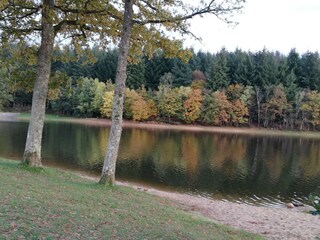 Casa de vacaciones Saint-Franchy  40