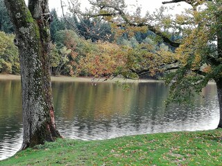Vakantiehuis Saint-Franchy  39
