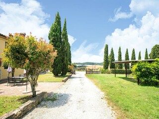 Farmhouse Collesalvetti Environment 38