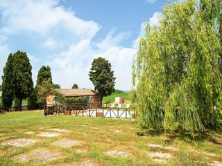Fattoria Collesalvetti Ambiente 37