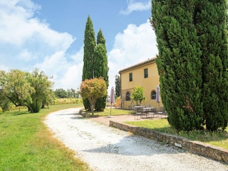 Farmhouse Collesalvetti Environment 35