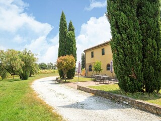 Fattoria Collesalvetti Ambiente 34