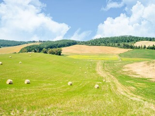 Fattoria Collesalvetti Registrazione all'aperto 15
