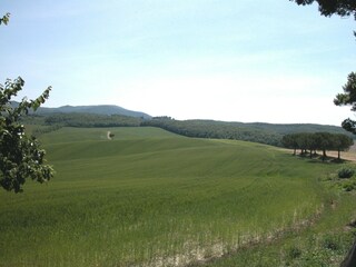 Boerderij Collesalvetti Buitenaudio-opname 14