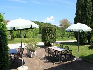 Bauernhof Collesalvetti Außenaufnahme 3