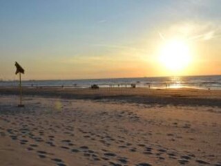 Vakantiepark Westland Omgeving 10