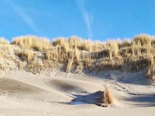 Ferienpark Westland Umgebung 22