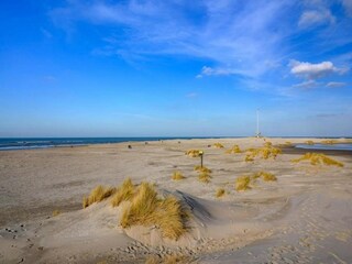 Parc de vacances Westland Environnement 19