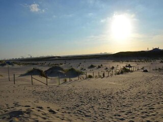 Parc de vacances Westland Environnement 17