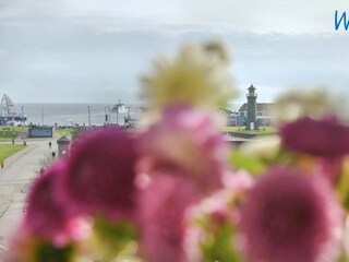 Appartamento per vacanze Juist Ambiente 26