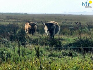 Appartamento per vacanze Borkum Ambiente 25