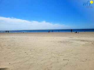 Vakantieappartement Borkum Omgeving 24