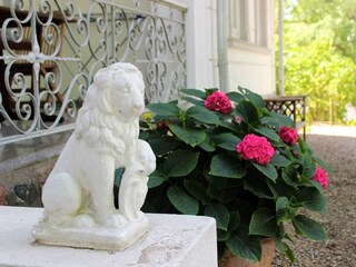 Vakantieappartement Binz Kenmerken 21