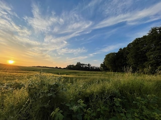 Sonnenuntergang am Baumhaus