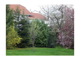 der Garten
