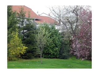 der Garten