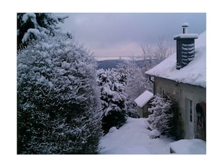 hinter dem Haus