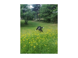 unser Garten