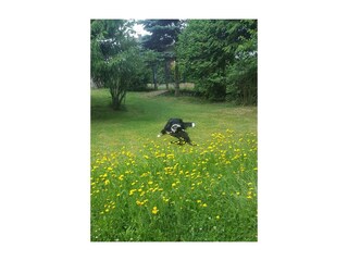 unser Garten