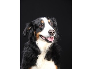 Apartment Bleckhausen Outdoor Recording 80