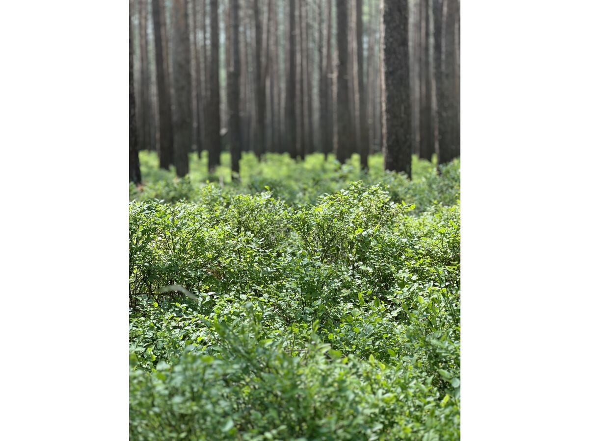 Naturpark direkt vor der Tür