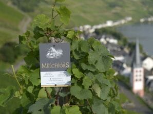 Apartment Weingut & Gästehaus Otto Melchiors - Zell Mosel - image1