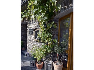 Apartamento Zell Mosel Grabación al aire libre 6